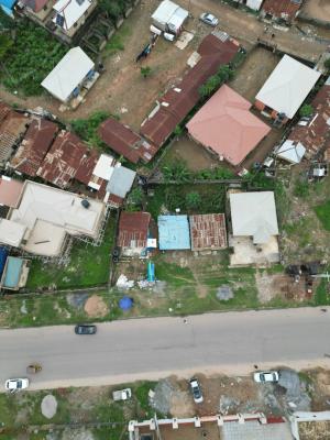 Built 6 Bedrooms Fully Detached Duplex with Bq, Asokoro District, Abuja, Detached Duplex for Sale