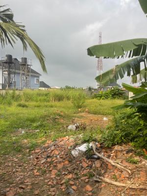 1000sqm of Land in a Decent Estate, Abraham Adesanya, Ajah, Lagos, Residential Land for Sale