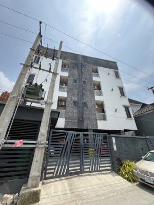 Fully Furnished 2 Bedroom Apartment, Ologolo, Ologolo, Lekki, Lagos, Flat / Apartment for Rent