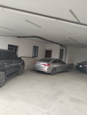 a Luxury Miniflat Available in a Calm Area, Agungi, Agungi, Lekki, Lagos, Mini Flat (room and Parlour) for Rent