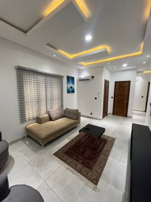 Luxury Furnished 2 Bedroom Flat Ensuit, Ikate, Lekki, Lagos, Flat / Apartment for Rent