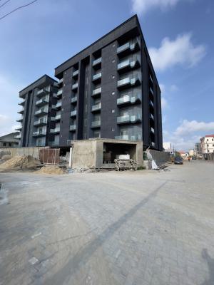 Luxury 2bed Apartment with Swimming Pool, Elevator and Gym, Ikate Elegushi Lekki Lagos, Ikate, Lekki, Lagos, Flat / Apartment for Sale