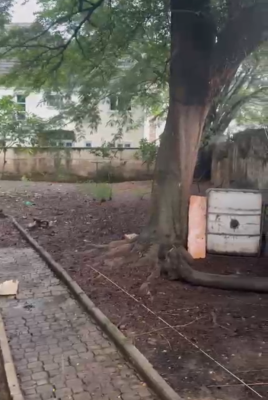 1941sqm Distress Plot, Maitama District, Abuja, Residential Land for Sale