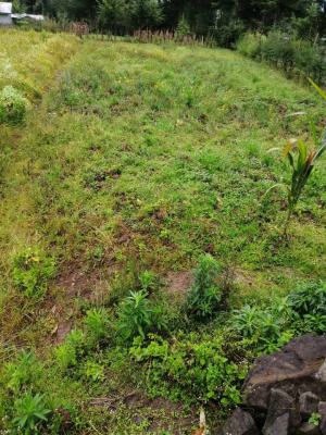 Residential Land, Ido, Oyo, Residential Land for Sale