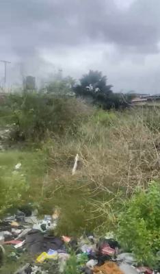 a Standard, Corner Piece of Land, Lawanson, Surulere, Lagos, Mixed-use Land for Sale