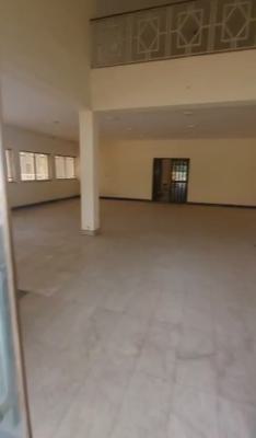 a Standard, Solid Massive Office Building, Maitama District, Abuja, Office Space for Rent