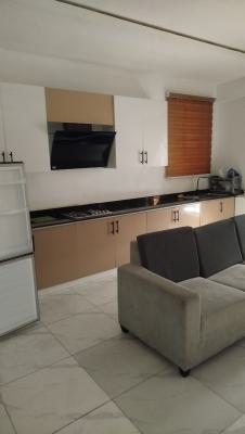 Well Maintained Furnished 1 Bedroom Apartment with Pool, Gym, Off Freedom Way By Ultima Studio, Lekki Phase 1, Lekki, Lagos, Mini Flat (room and Parlour) for Sale