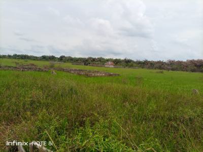 300sqm, 500sqm and 1000sqm Land Plots in an Estate, Eleko Axis, Ibeju Lekki, Lagos, Residential Land for Sale