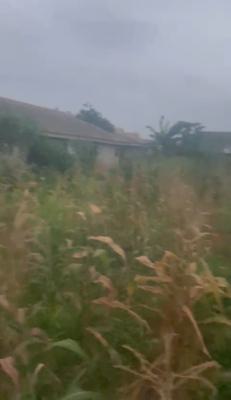 Half Plot of Land Very Close to The Road, Agbalumo Bus Stop, Oreyo, Ikorodu, Ikorodu, Lagos, Mixed-use Land for Sale