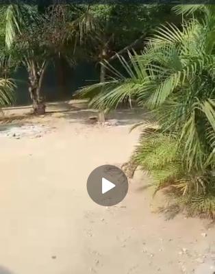 Land Measuring 476 Sqm with Cofo, Channel Tv Drive Lagos Nigeria, Opic, Isheri North, Lagos, Commercial Land for Sale