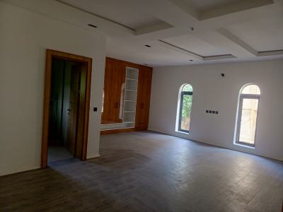 Massive Newly Build Luxurious 5 Bedroom  Duplex with Bq, Asokoro District, Abuja, Flat / Apartment for Sale