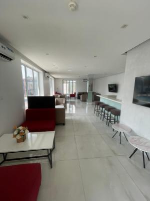 3 Bedrooms Nicely Furnished Flat with Bq, Banana Island, Ikoyi, Lagos, Flat / Apartment for Rent