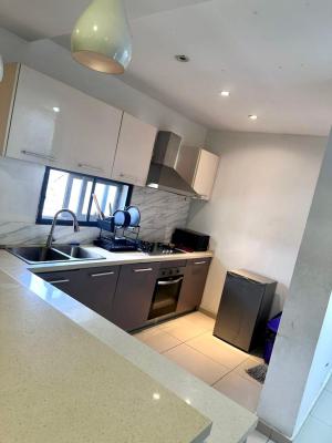 Luxury 2 Bedroom Fully Furnished, Osapa London Lekki, Lekki Phase 1, Lekki, Lagos, Flat / Apartment for Rent