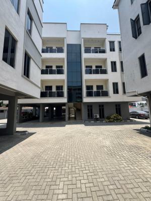 Well Maintained Spacious 2 Bedrooms Apartment, Ikate, Lekki, Lagos, Flat / Apartment for Rent