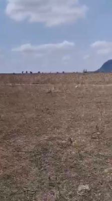 a Standard, Strategic 6 Plot of Land, Sangotedo, Ajah, Lagos, Mixed-use Land Joint Venture