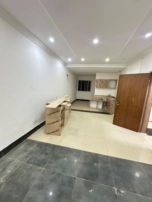 Standard and Spacious Renovated 2 Bedroom Apartment, Emma Abimbola Cole Off Fola Osibo, Lekki Phase 1, Lekki, Lagos, Flat / Apartment for Rent