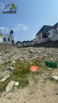 2 Plots of Land Facing a Tarred Road, Ikota, Lekki, Lagos, Residential Land for Sale