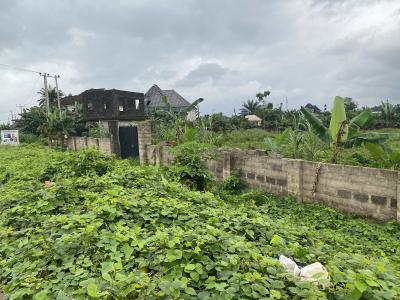 Strategically Located Five (5) Plots of Land, Link Road, Iriebe, Oyigbo, Rivers, Mixed-use Land for Sale