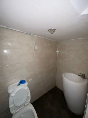 Spacious Mini Flat with Spacious Toilet, Off Fola Oshibo, Lekki Phase 1, Lekki, Lagos, Mini Flat (room and Parlour) for Rent
