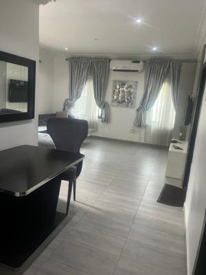 2 Bedroom Flats, Awolowo Road, Ikoyi, Lagos, Flat / Apartment for Rent