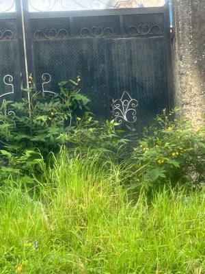 a Very Vast Dry Land, Addo Road , Ajah, Lekki, Lagos, Mixed-use Land for Sale