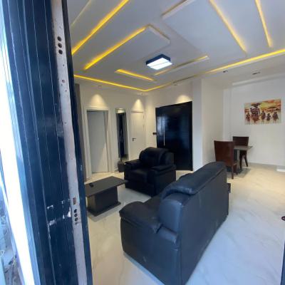 Nicely Furnished Two-bedroom Apartment --, Ikoyi, Lagos, Flat / Apartment for Rent