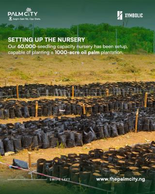 Palm Oil Agric Estate No Experience Needed with Good Rewards for Futur, Palm City, Iseyin, Oyo, Mixed-use Land for Sale