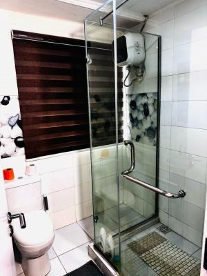 Furnished Mini Flat, Off Admiralty Way, Lekki Phase 1, Lekki, Lagos, Flat / Apartment for Rent