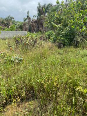 Certificate of Occupancy, New Road Bus Stop Gbetu, Awoyaya, Ibeju Lekki, Lagos, Residential Land for Sale