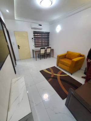 Luxury Furnished 1bedroom Flat, Off Freedom Way, Lekki Phase 1, Lekki, Lagos, Mini Flat (room and Parlour) for Rent