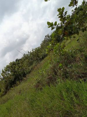 a Very Sharp Half Plot of Land, Ologunfe, Awoyaya, Ibeju Lekki, Lagos, Mixed-use Land for Sale