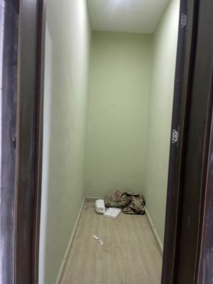 Very Fine Luxury Mini Flat, Surulere, Lagos, Mini Flat (room and Parlour) for Rent