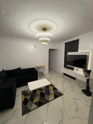 Newly Furnished Nice 1bedroom Apartment, Akoka, Yaba, Lagos, Mini Flat (room and Parlour) Short Let
