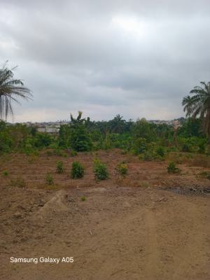 a Land Measuring 1400sqm, Jahi, Abuja, Jahi, Abuja, Residential Land for Sale