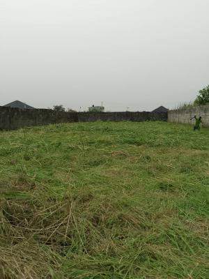 Land, Madison Garden Estate, Chevron Drive, Lekki, Lagos, Residential Land for Sale