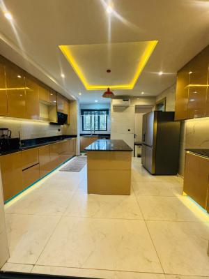 Magnificently Newly Built 4 Bedroom Terrace Duplex with a Bq, Ikeja Gra, Ikeja, Lagos, Terraced Duplex for Sale