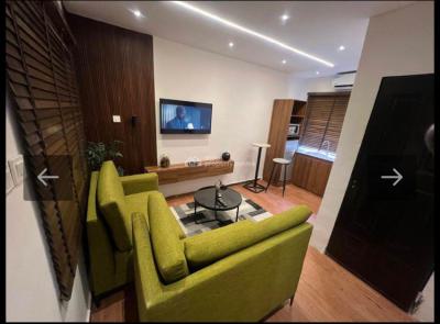 Luxurious Furnished Miniflat at Lekki Phase 1, Lekki Phase 1, Lekki Phase 1, Lekki, Lagos, Mini Flat (room and Parlour) for Rent