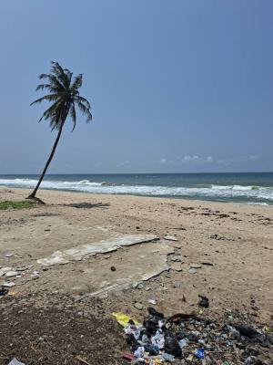 24 Plots Facing The Coastal Road with Gazette, Magbon Oga Off Eleko, Ibeju Lekki, Lagos, Land for Sale