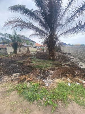 Standard Full Plot at Developed Area with C of O, Alashela Estate Behind Goodnews Estate, Ogombo, Ajah, Lagos, Land for Sale