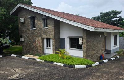Jabi Lake 4 Bedroom Detached Duplex (with Bq), Jabi Lake, Jabi, Abuja, Detached Duplex for Rent