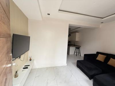 1 Bedroom Apartment, Lekki Phase 1, Lekki, Lagos, Flat / Apartment for Rent