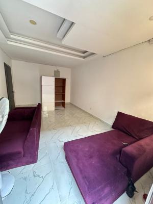 Massive Self Serviced One Bedroom Miniflat, Lekki Phase 1, Lekki, Lagos, Mini Flat (room and Parlour) for Rent