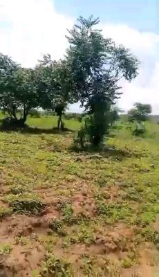 Full Acre of Agricultural Land for Farming, Close to Segun Odegbami Sport Academy., Ewekoro, Ogun, Land for Sale