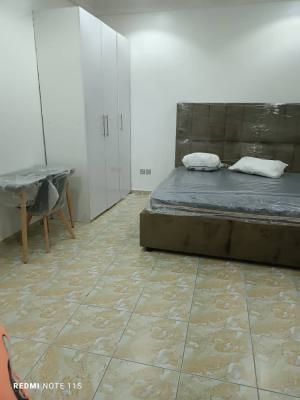Newly Renovated 4 Bedroom Terrace Duplex Furnished with Bq in Mini Est, Abiola Court 11, Ikate Elegushi, Lekki, Lagos, Terraced Duplex for Rent