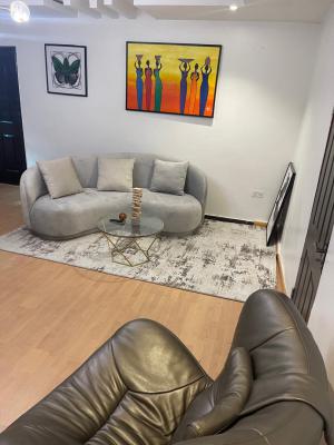 Spacious Furnished Room & Parlour (miniflat) with Open Kitchen Plan, Lekki Phase 1, Lekki, Lagos, Mini Flat (room and Parlour) for Rent