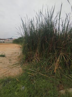 Half  (335sqm) Prime Plot, Greenville Estate, Badore Road, Ajah, Lagos, Residential Land for Sale