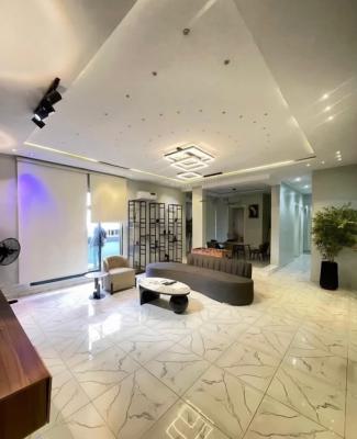 Luxury 2 Bedroom Furnished Apartment with Elevator, Ikate, Lekki, Lekki, Lagos, Flat / Apartment for Rent