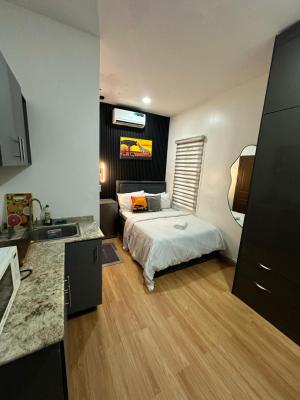 Cleanly Furnished Studio Apartment in Ikate with Kitchennette, Ikate, Ikate, Lekki, Lagos, Self Contain (single Rooms) Short Let