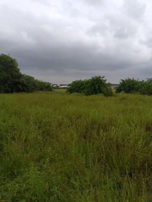 a Plot of Land with C of O, Deed of Assignment and Survey, Monastery Road Off Cmb Road, Sangotedo, Ajah, Lagos, Residential Land for Sale