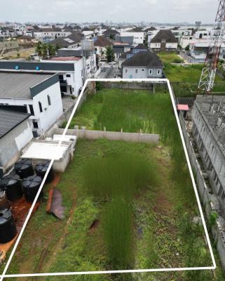 1000sqms Buy and Build Land, Osapa London, Lekki, Lagos, Land for Sale